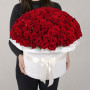 101 красная роза в коробке фото 2