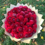 49 красных георгин