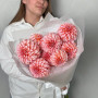 9 персиково-розовых георгин фото 3