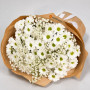Букет из белых хризантем и гипсофилы «Туман» — вид 3